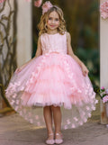 Fabulously Pink and Pretty Butterfly Special Occasion Dress