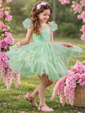 Emerald Fairy Garden Embroidered Floral Tutu Dress